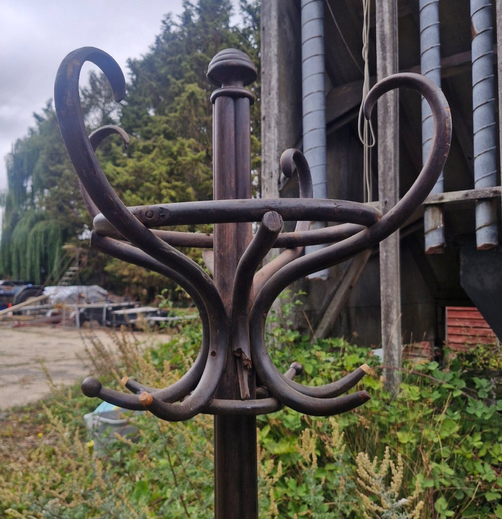 An early 20th-century dark brown steam-bent beechwood freestanding hat and coat stand featuring curved upper hooks and an integrated lower umbrella ring. View V
