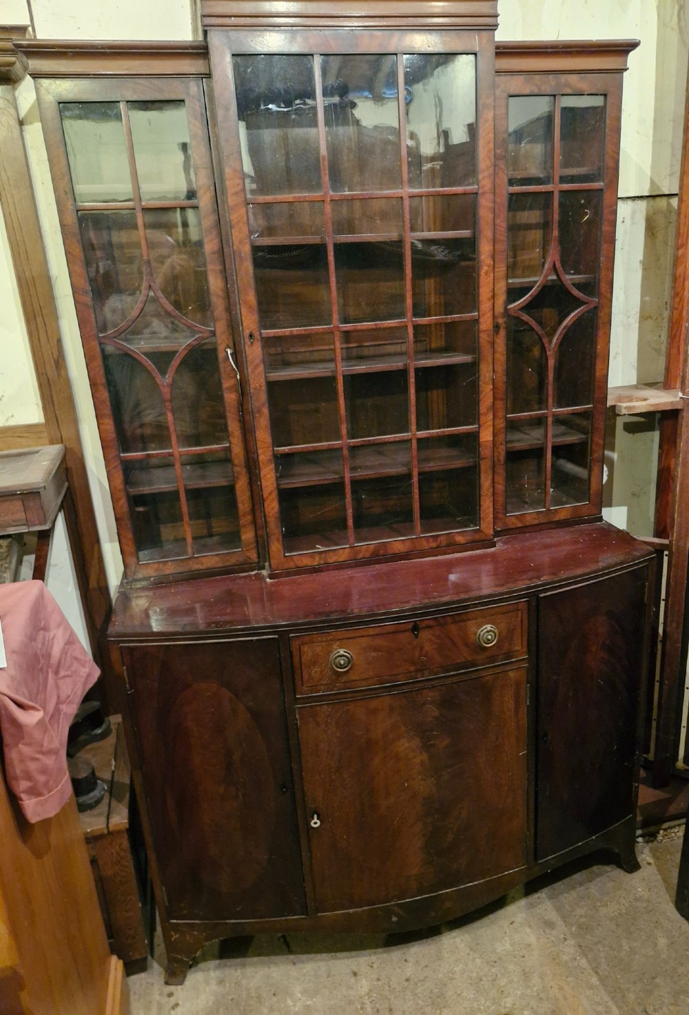 Alternate View