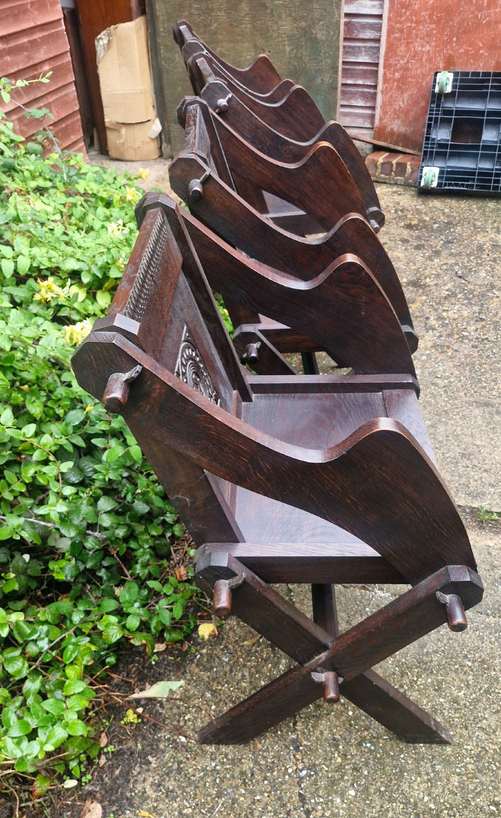 Alternate View