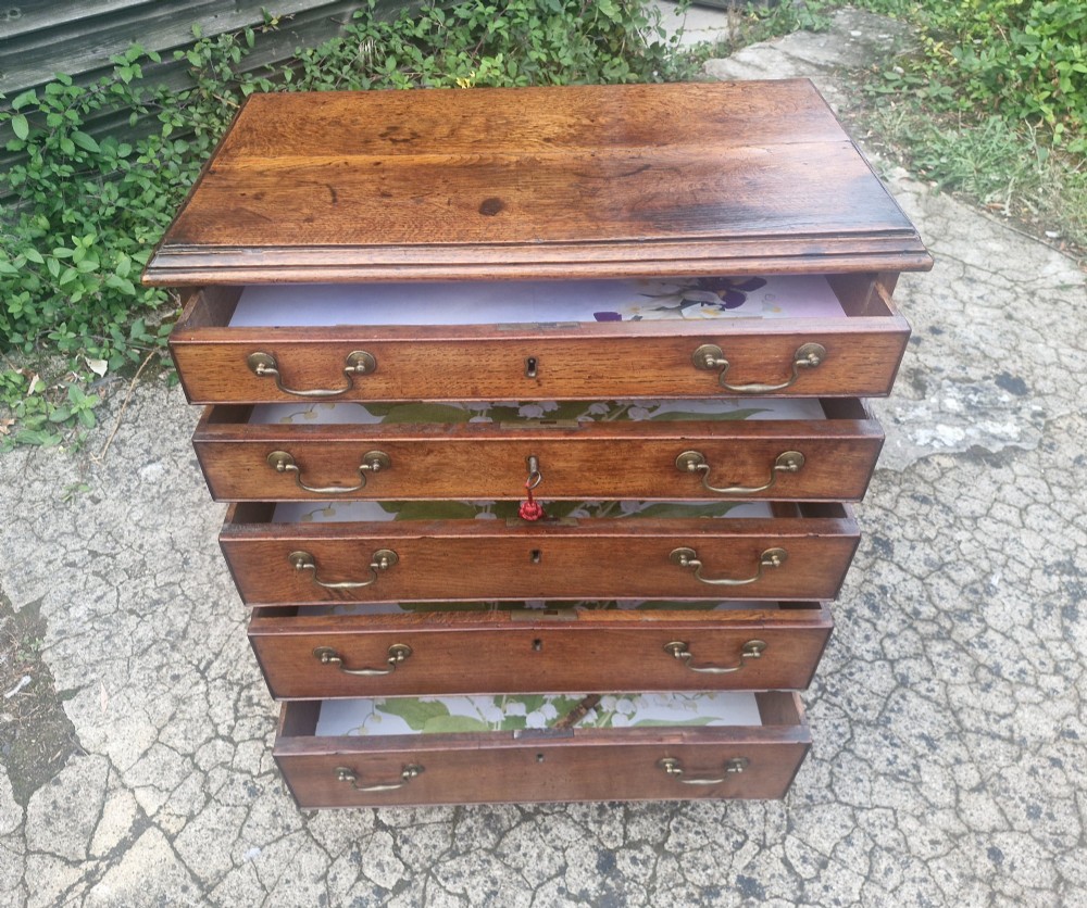 A Georgian oak chest of drawers featuring five graduated drawers with brass swan-neck handles and bracket feet. View IV