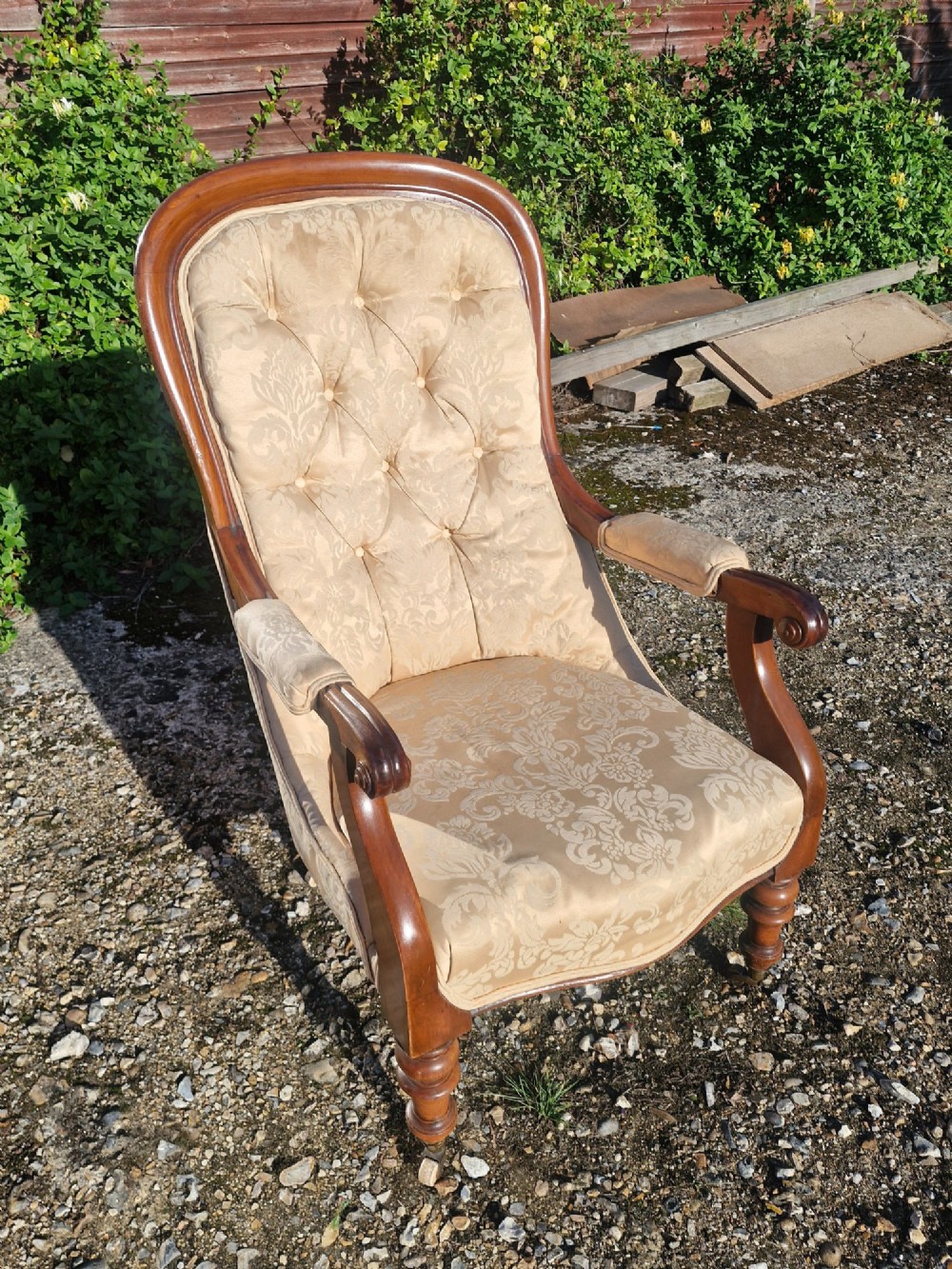 Victorian mahogany library armchair upholstered in gold damask fabric featuring a button-tufted back, scrolled armrests, and turned legs with brass castors.