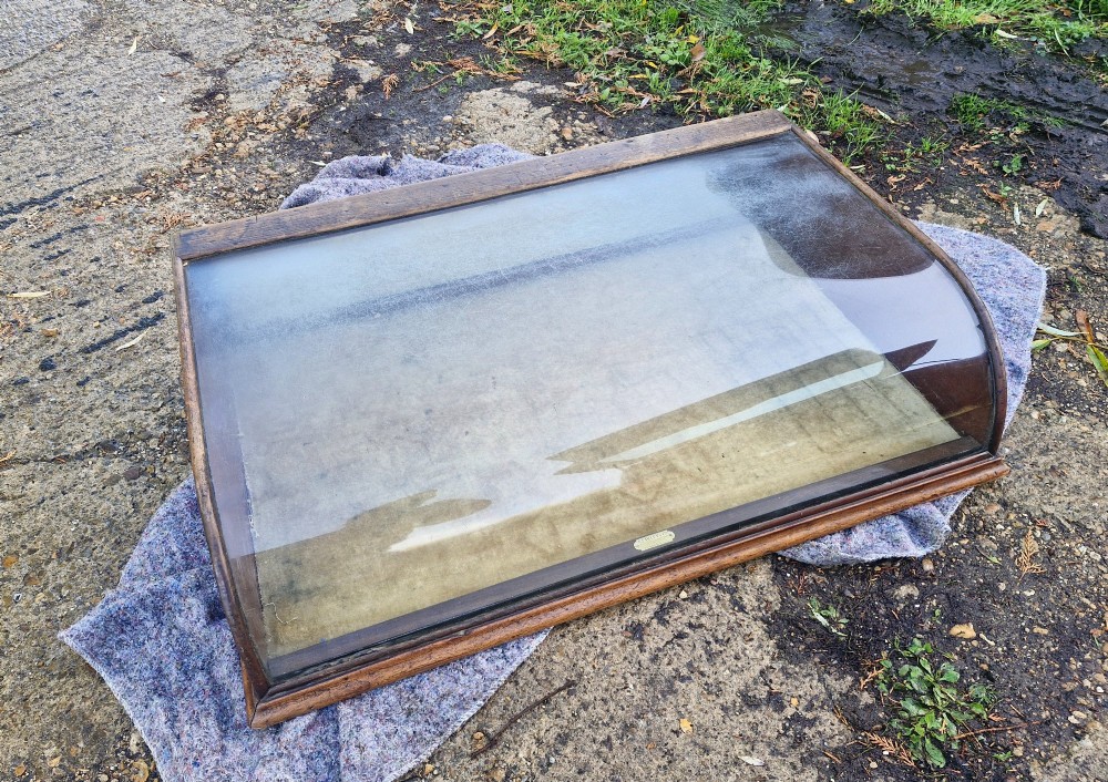 An antique dark oak tabletop display cabinet featuring a curved front glass pane and glazed top. View VII