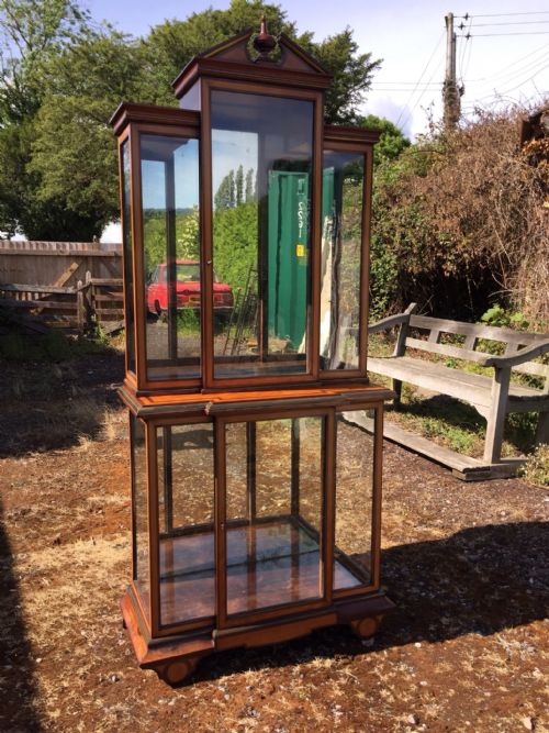 A 19th Century Satinwood Display Case