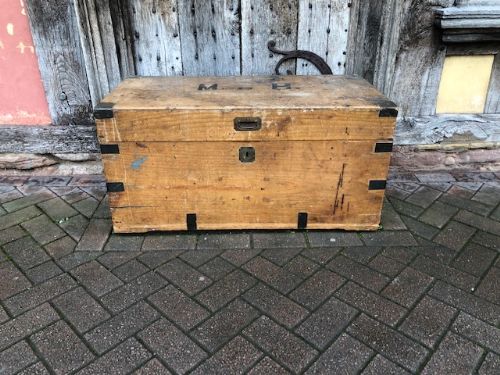 A 19thc Camphor Wood Trunk