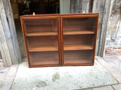 A Regency Mahogany Wall Cabinet