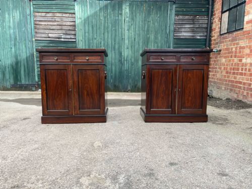 A Rare Pair of 19th Century Regency Rosewood Cabinets/bedside