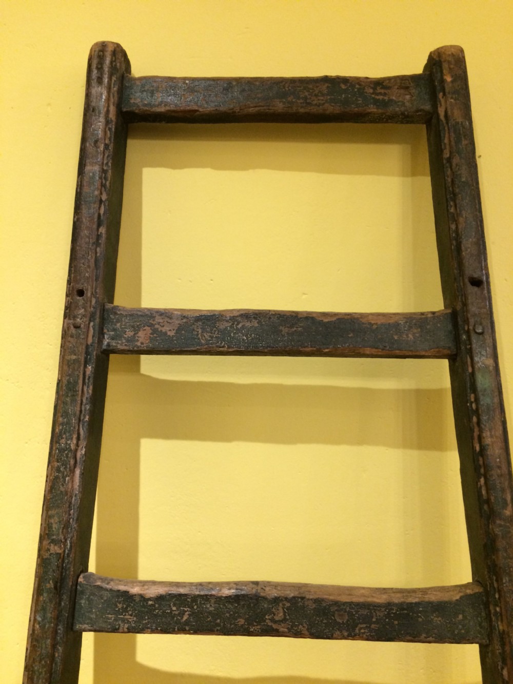19thC painted primitive painted ladders View III