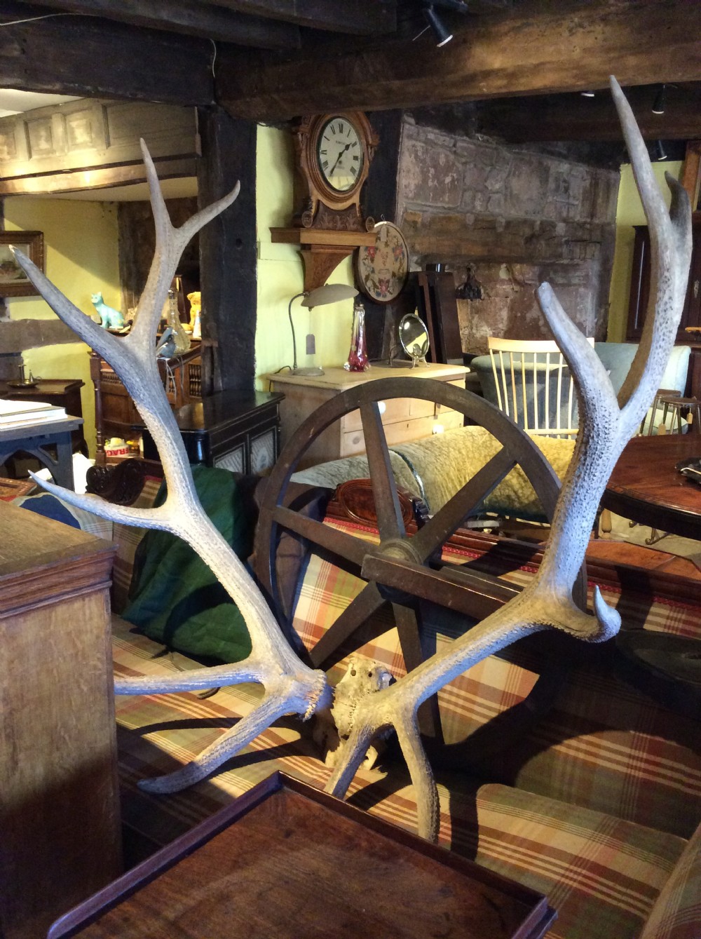 Early 19thC Large set of 12 point antlers View VIII