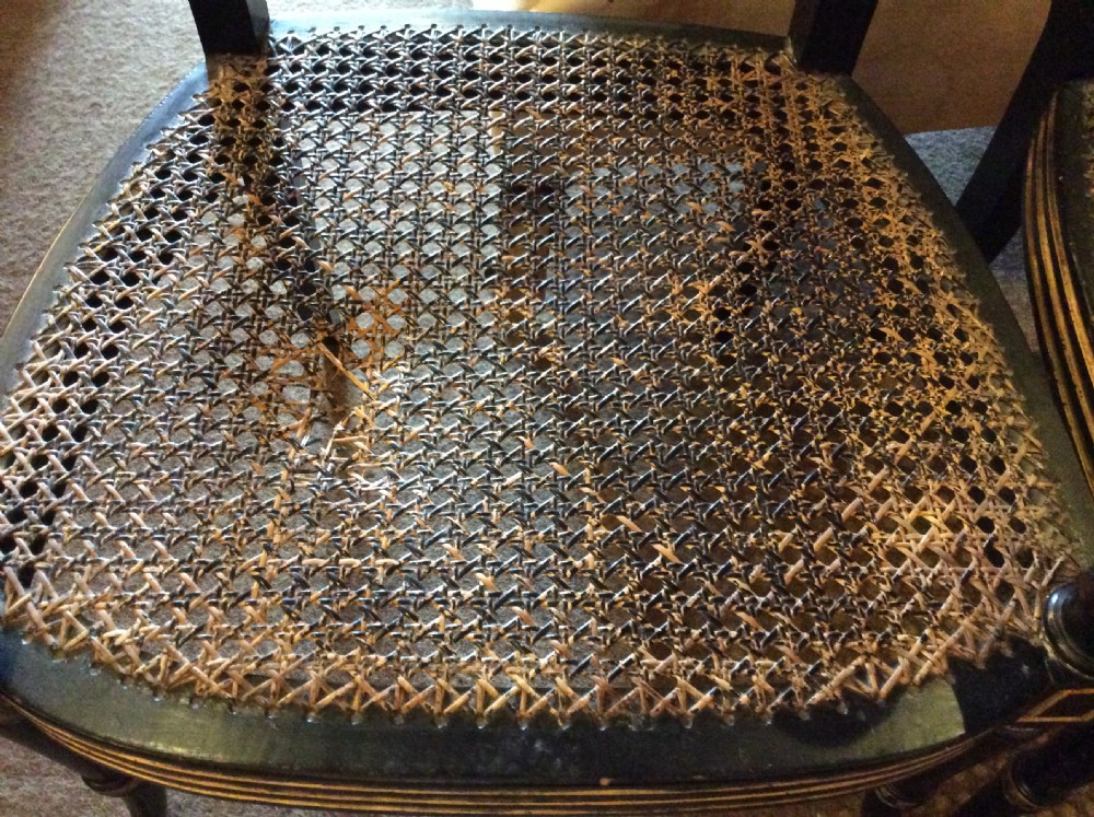 A pair  Regency ebonised caned chairs View VIII