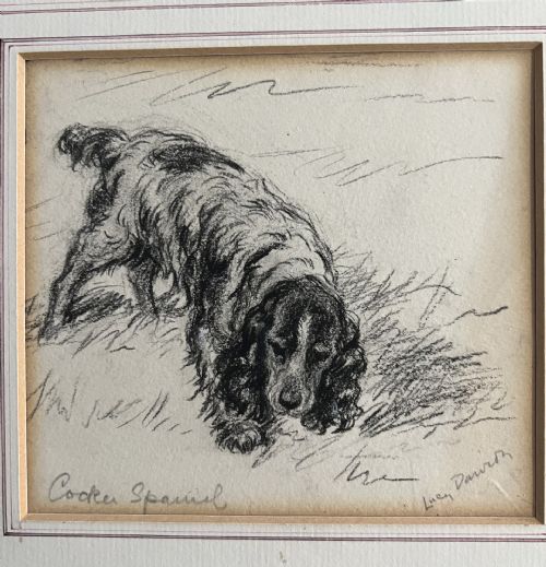 LUCY DAWSON 1867 1954 COCKER SPANIEL PENCIL AND CHALK ON ARTIST BOARD - ADDITIONAL PHOTO 1