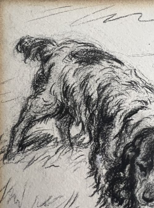 LUCY DAWSON 1867 1954 COCKER SPANIEL PENCIL AND CHALK ON ARTIST BOARD - ADDITIONAL PHOTO 4