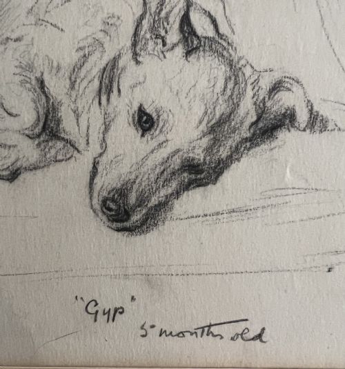 LUCY DAWSON 1867 1954 SMALL TERRIER GYP PENCIL AND CHALK ON ARTIST BOARD - ADDITIONAL PHOTO 1