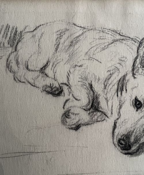 LUCY DAWSON 1867 1954 SMALL TERRIER GYP PENCIL AND CHALK ON ARTIST BOARD - ADDITIONAL PHOTO 4