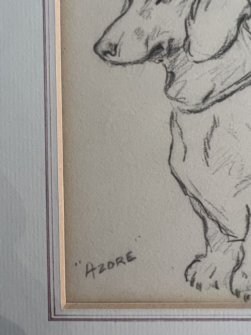 LUCY DAWSON 1867 1954 DACHSHUND DOG AZORE PENCIL AND CHALK ON ARTIST BOARD - ADDITIONAL PHOTO 1