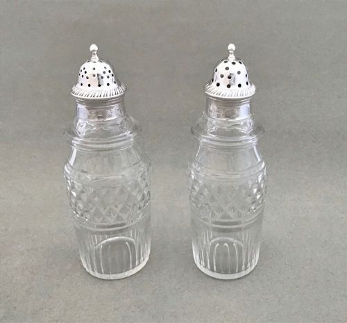 A Fabulous Pair of Regency Silver Mounted Casters