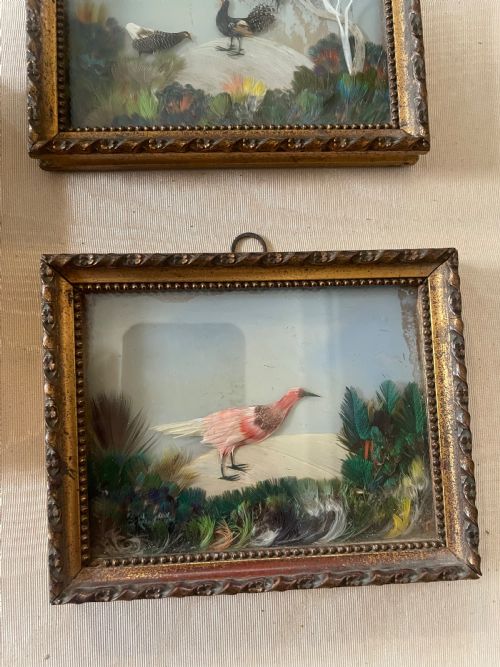 AN ANTIQUE TRIO OF FEATHER PICTURES - ADDITIONAL PHOTO 3