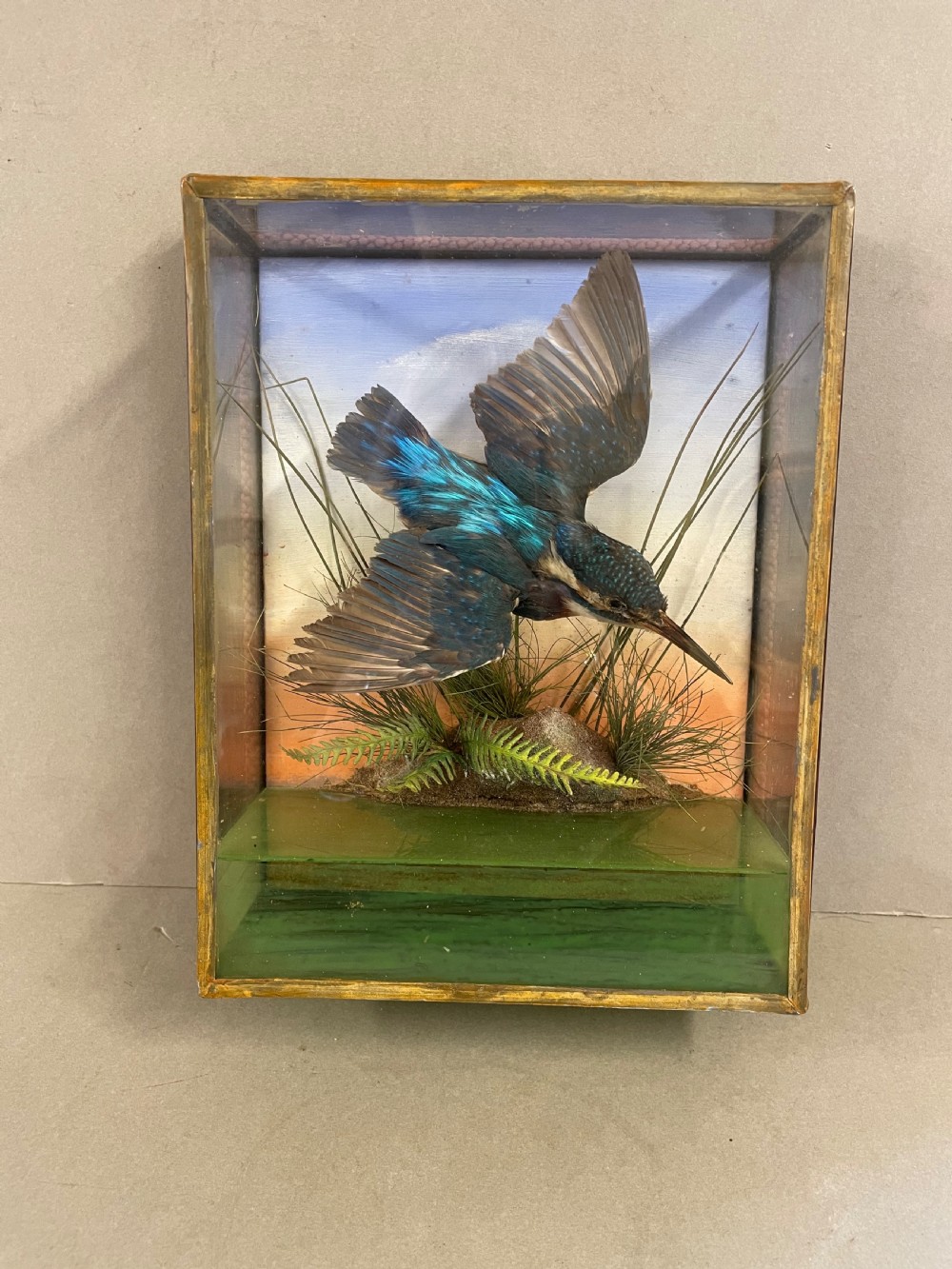 An Antique Cased Taxidermy Kingfisher