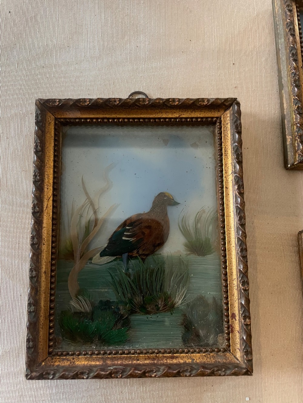 An Antique trio of feather pictures View II