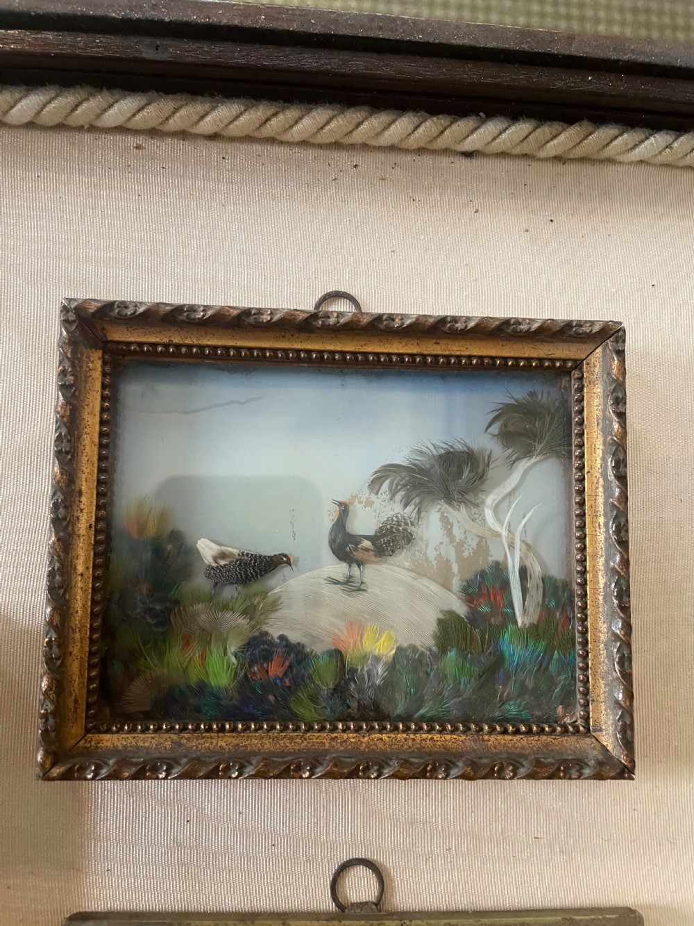An Antique trio of feather pictures View III