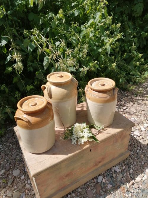 3 victorian stoneware storage jars - CATEGORY: ANTIQUE CERAMICS - DATED VICTORIAN