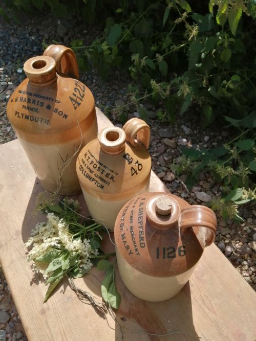 3 X DEVON WINESPIRIT JUGS - ADDITIONAL PHOTO 5