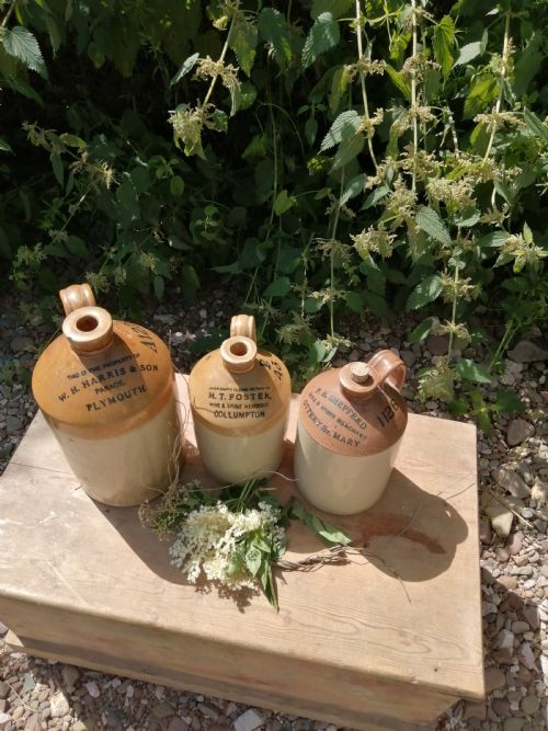 3 X DEVON WINESPIRIT JUGS - ADDITIONAL PHOTO 10