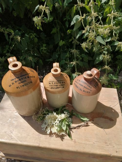 3 X DEVON WINESPIRIT JUGS - ADDITIONAL PHOTO 11