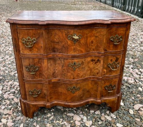 antique shaped front burr walnut chest of drawers - CATEGORY: ANTIQUE CHEST OF DRAWERS - DATED 1900