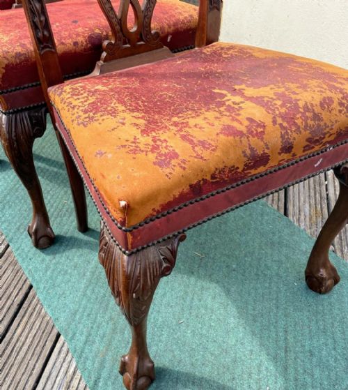 A FINE SET OF ANTIQUE MAHOGANY CHIPPENDALE STYLE DINING CHAIRS - ADDITIONAL PHOTO 8