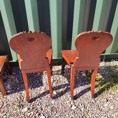 FINE PAIR OF WILLIAM 1V MAHOGANY HALL CHAIRS - ADDITIONAL PHOTO 3