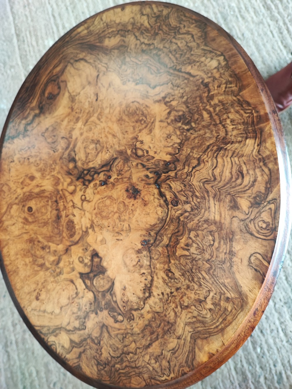 Victorian burr walnut low tripod table. View II