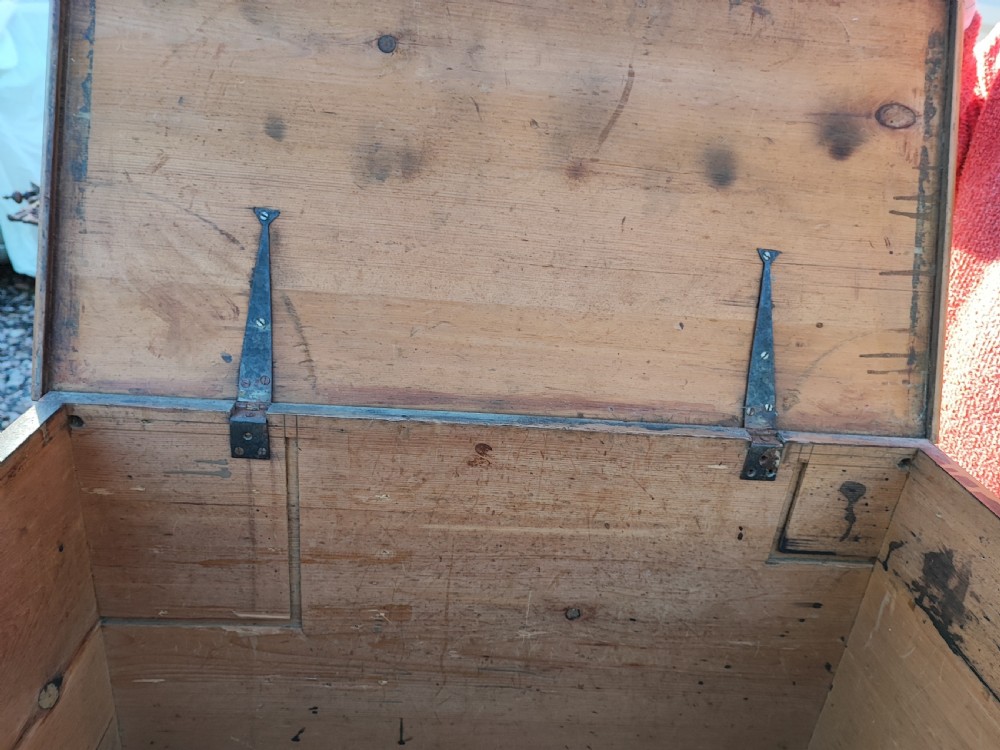 Regency pine barristers document trunk  View III