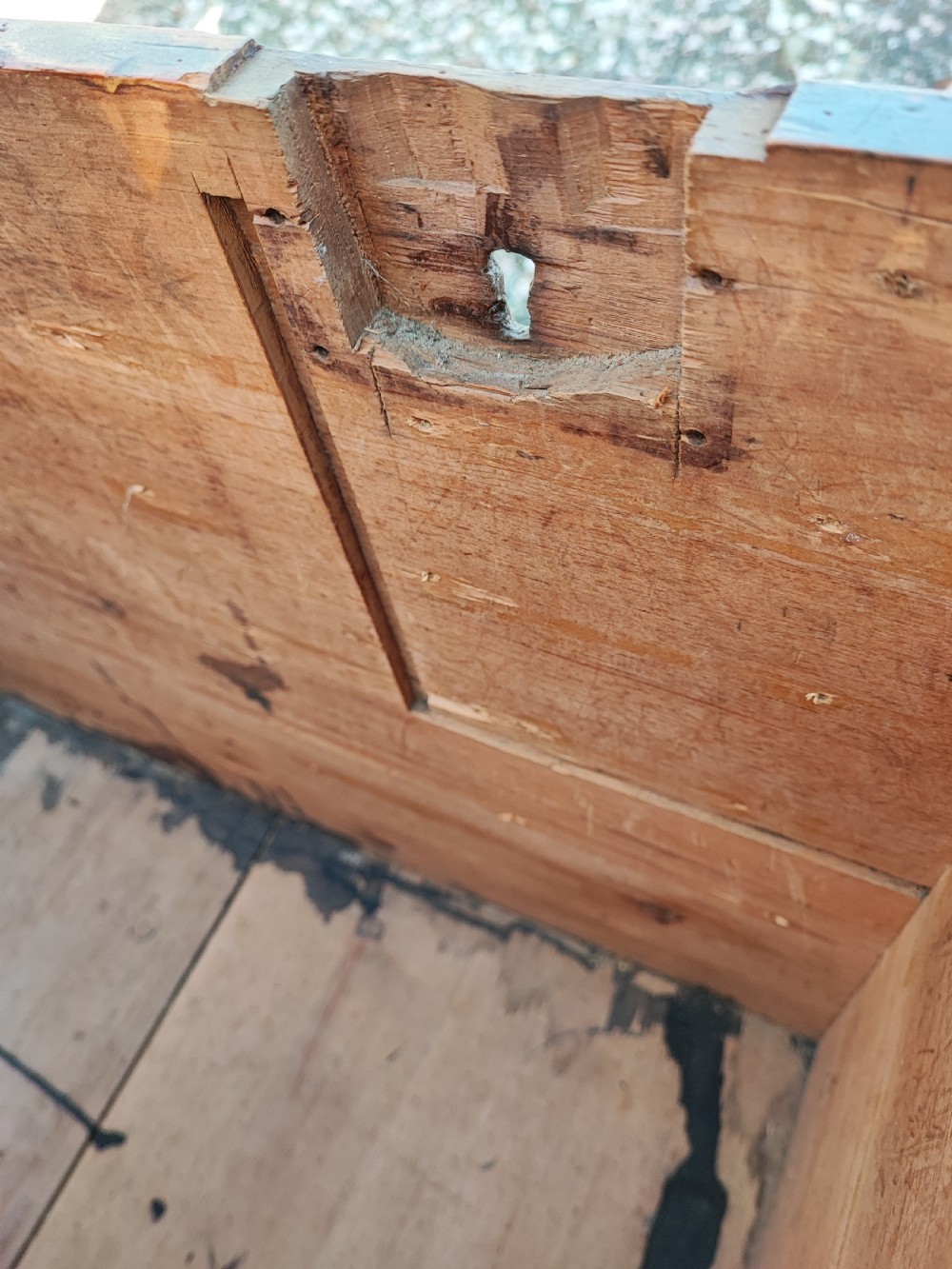 Regency pine barristers document trunk  View VIII
