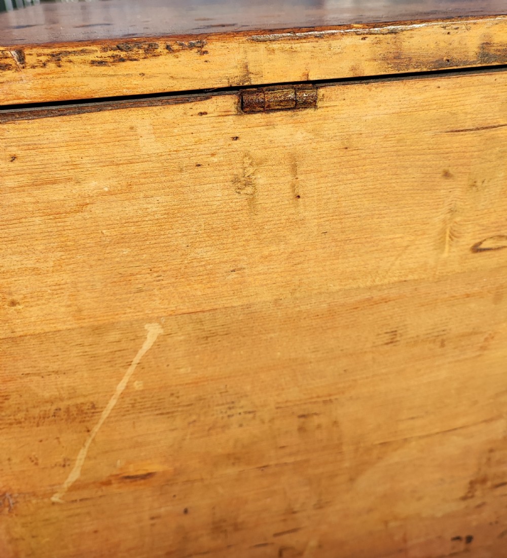 Regency pine barristers document trunk  View XI