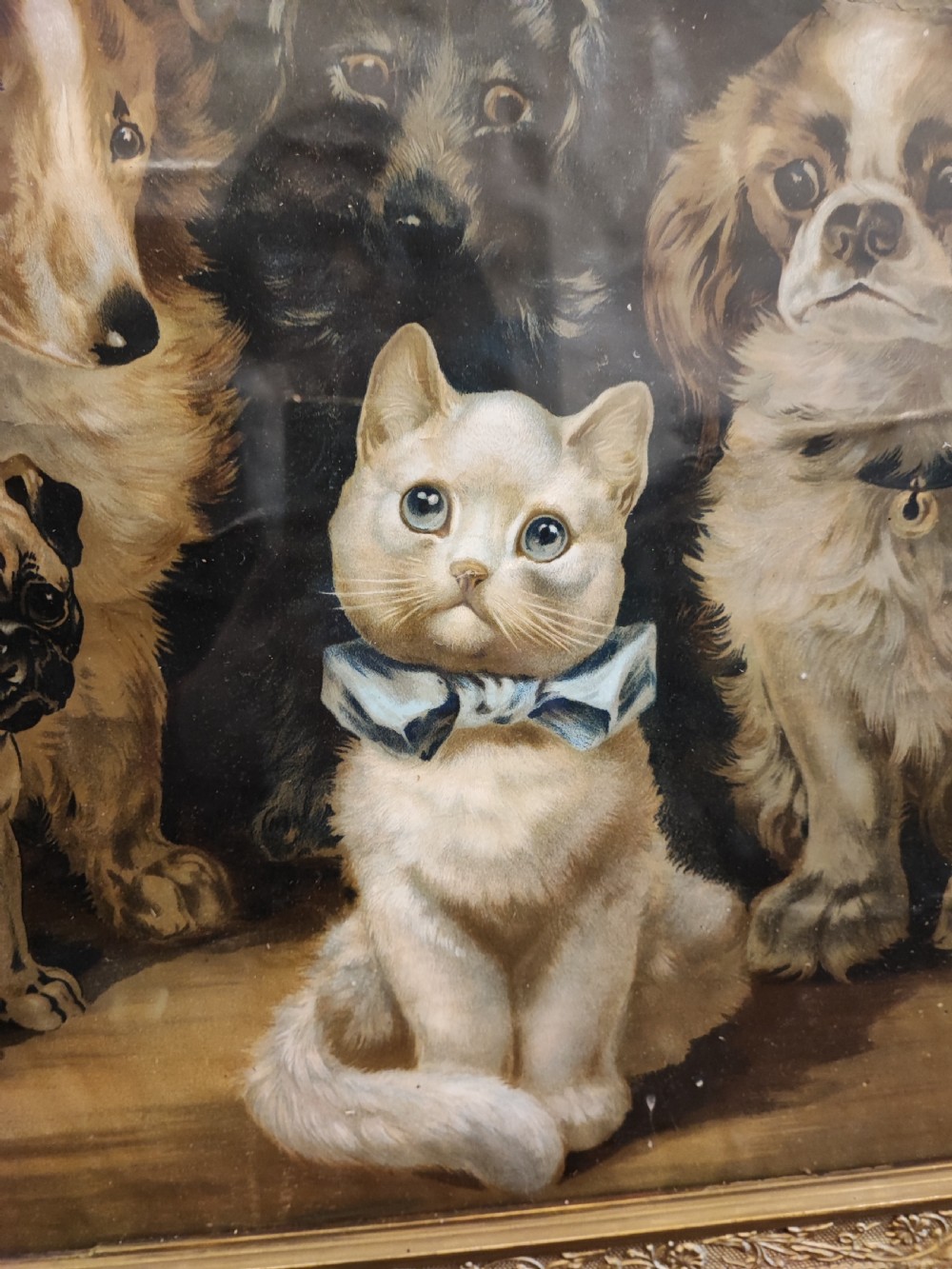 Large Louis Wain print  View II