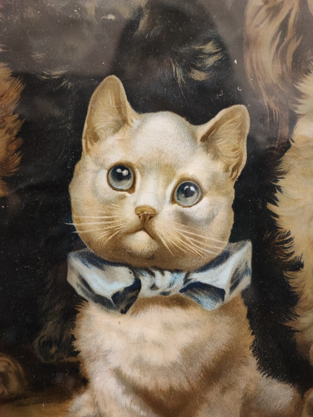 Large Louis Wain print  View X