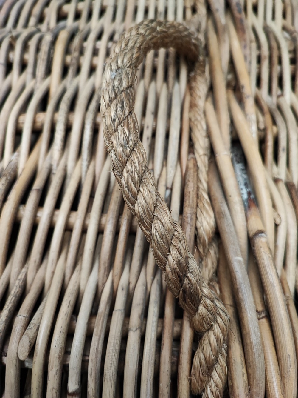 Antique wicker log or laundry basket of extra large size. View V