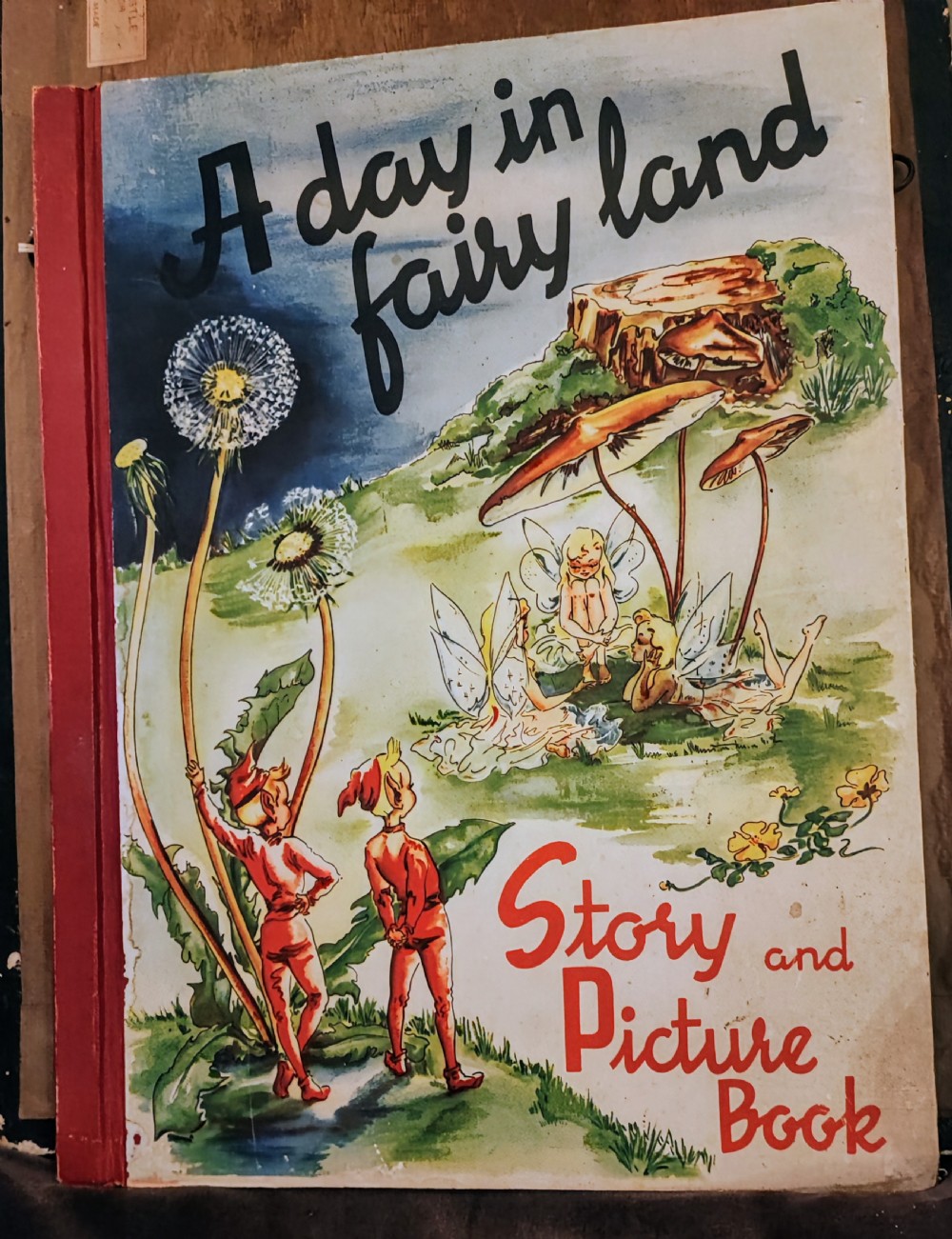 A beautifully illustrated children's book, A Day in Fairyland.