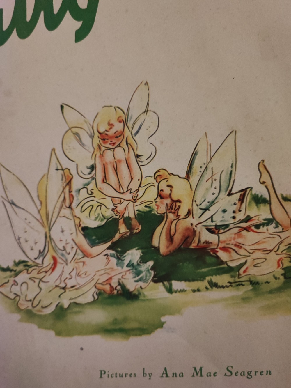 A beautifully illustrated children's book, A Day in Fairyland. View II