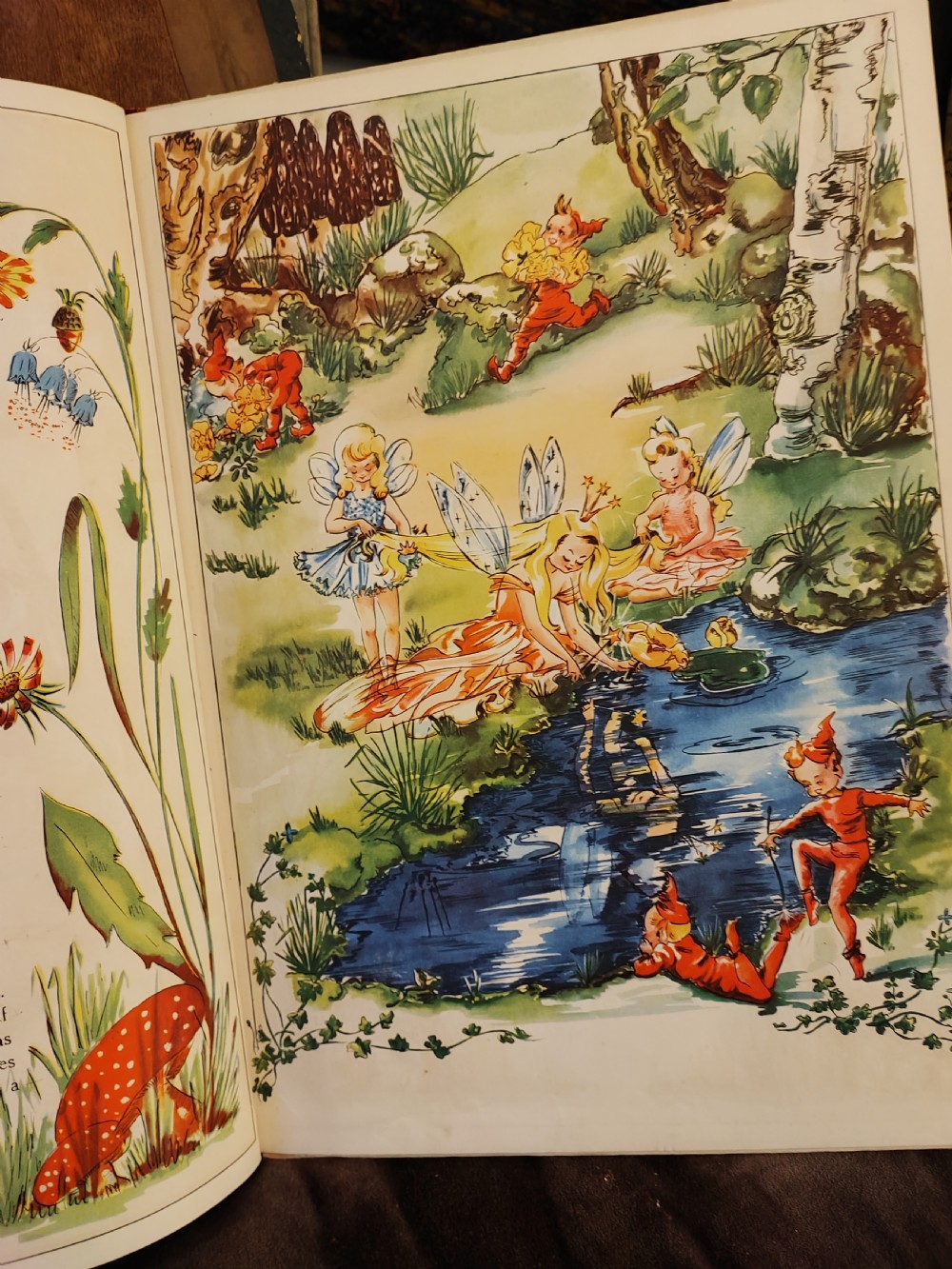 A beautifully illustrated children's book, A Day in Fairyland. View VI
