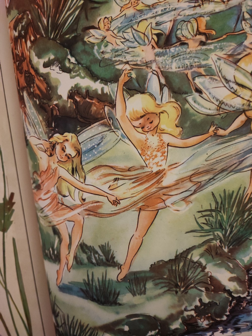 A beautifully illustrated children's book, A Day in Fairyland. View VIII