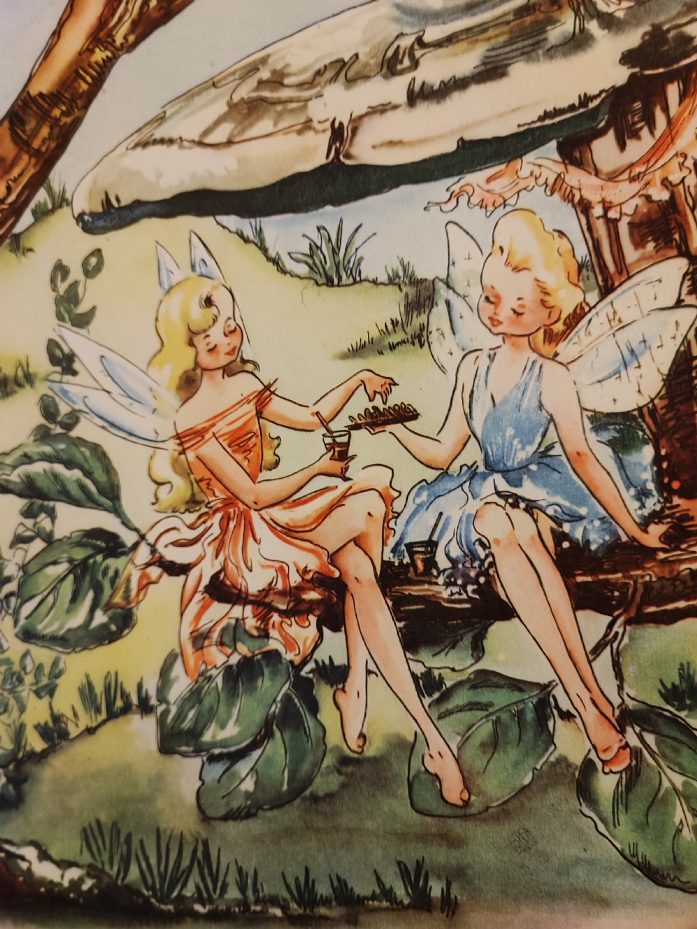 A beautifully illustrated children's book, A Day in Fairyland. View XI