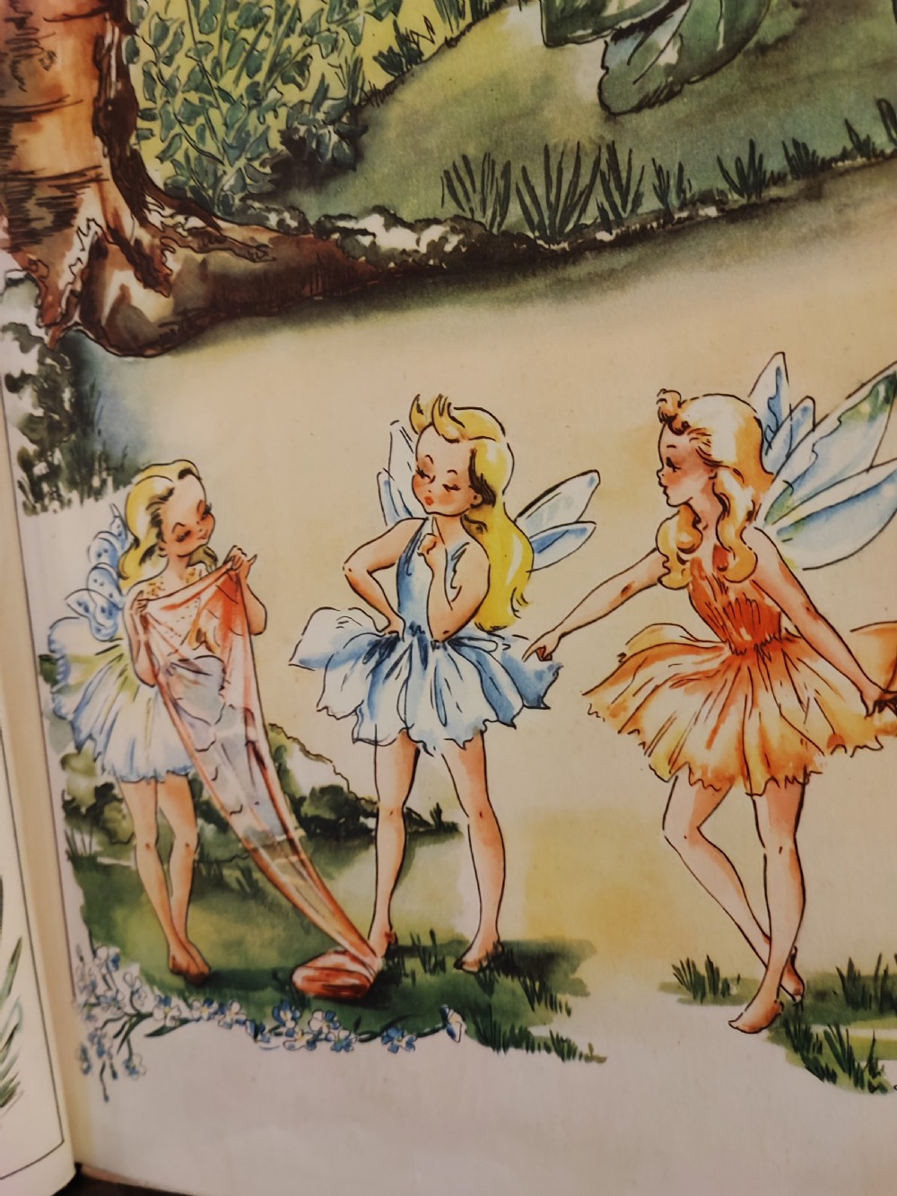 A beautifully illustrated children's book, A Day in Fairyland. View XIII