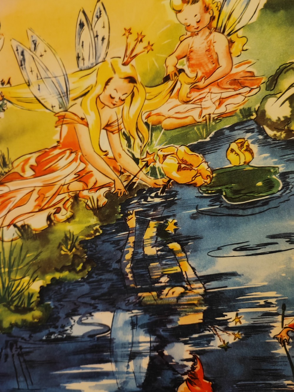 A beautifully illustrated children's book, A Day in Fairyland. View XIV