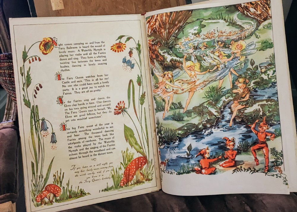 A beautifully illustrated children's book, A Day in Fairyland. View XVI