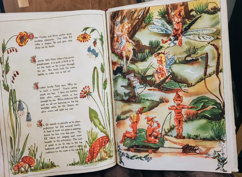 A beautifully illustrated children's book, A Day in Fairyland. View XVII