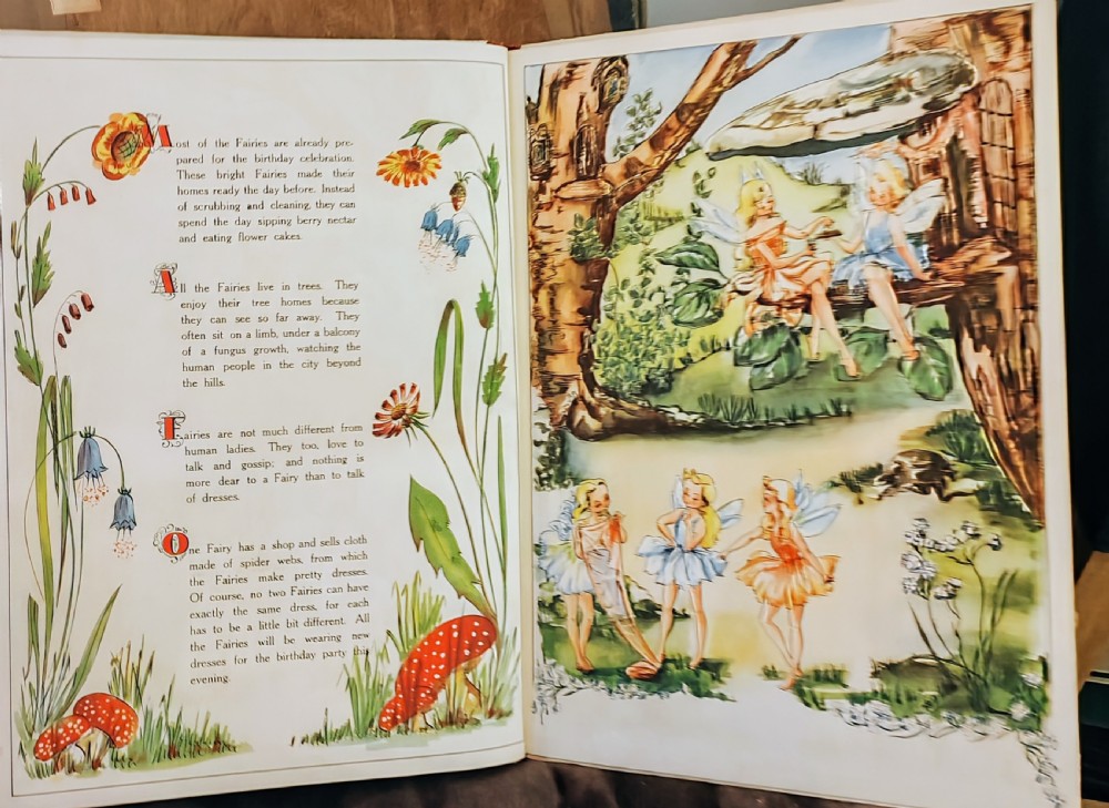 A beautifully illustrated children's book, A Day in Fairyland. View XVIII
