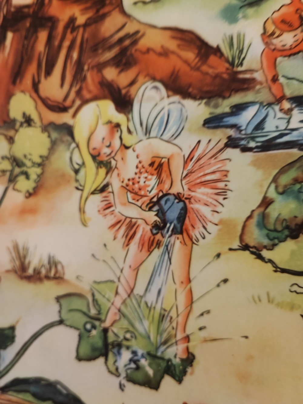 A beautifully illustrated children's book, A Day in Fairyland. View XXII