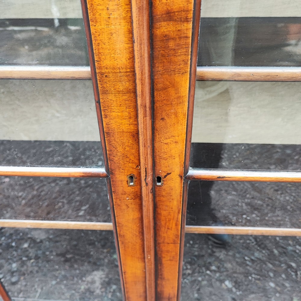 Quality antique walnut two door bookcase View II
