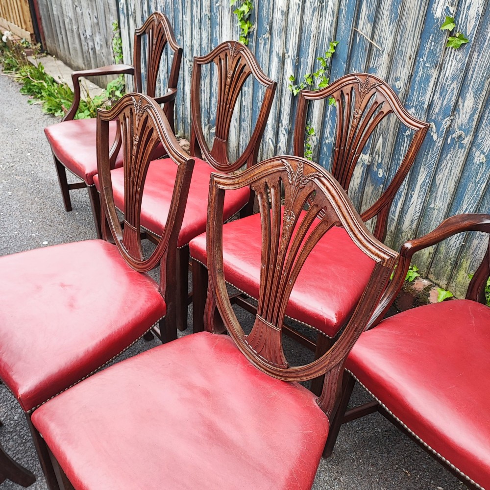 A set of eight mahogany Georgian-style dining chairs featuring carved wheat sheaf shield backs and red leather seats. View IV
